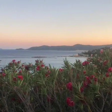 Family With Sea View Classified 3 - 8 People Βίλα Le Lavandou