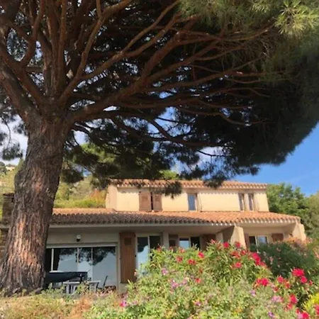 Family With Sea View Classified 3 - 8 People Le Lavandou